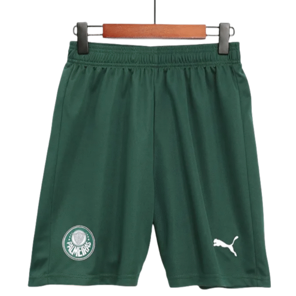 SE Palmeiras 2023/24 Away Shorts Replica